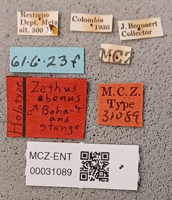 Media type: image;   Entomology 31089 Aspect: labels